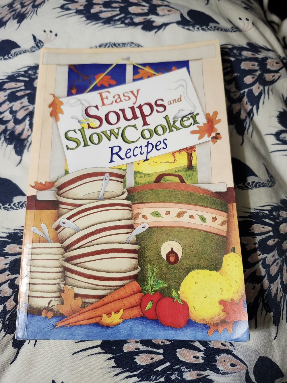 "Easy Soups and Slow Cooker Recipes " Cookbook